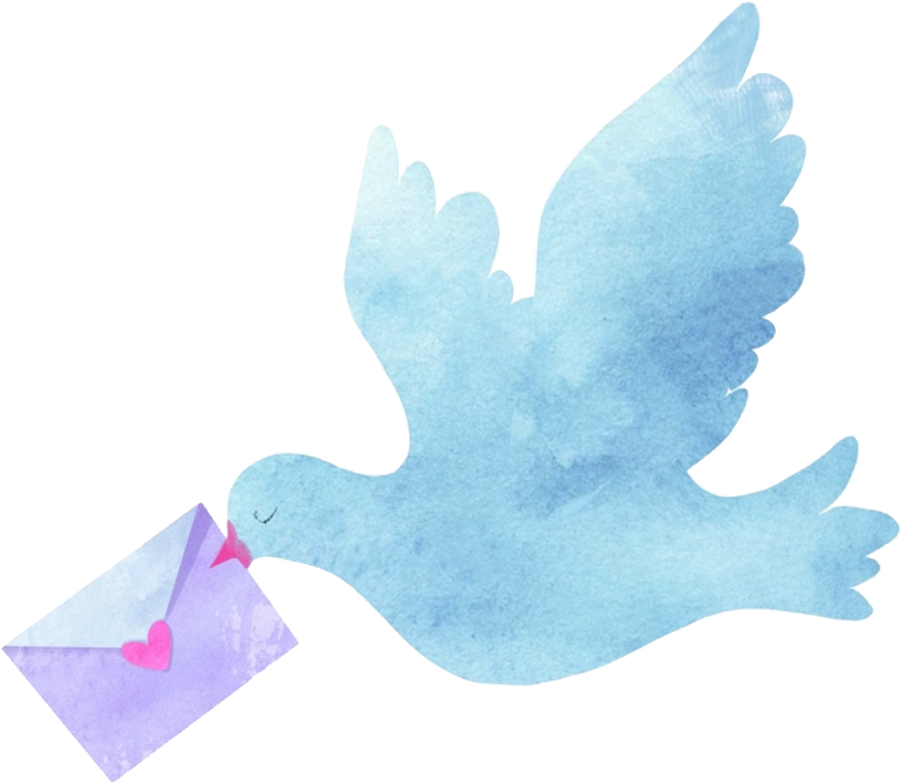 お問い合わせ用メール